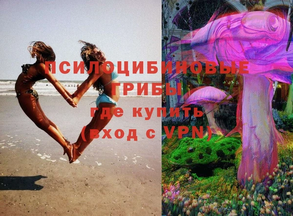apvp Гусиноозёрск