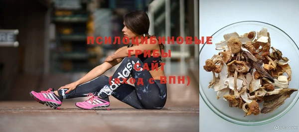 мет Нефтегорск