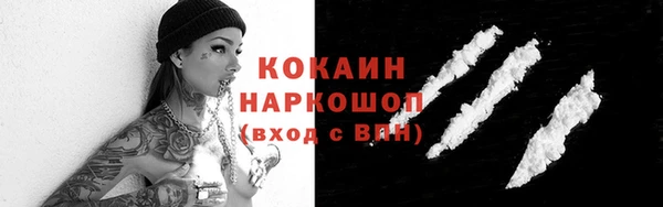 apvp Гусиноозёрск