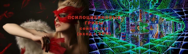 спиды Гусь-Хрустальный