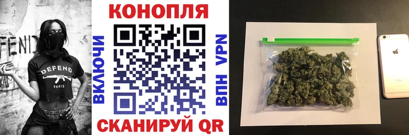 где купить наркоту  kraken   Конопля индика  Суздаль 